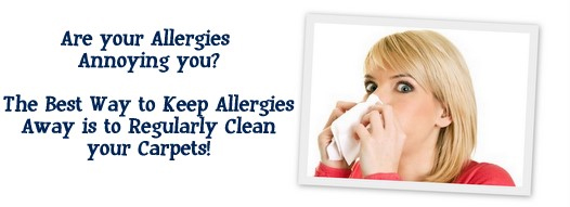 Carpet Cleaning South San Francisco