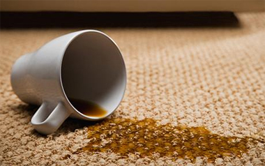 Carpet Cleaning South San Francisco