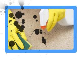 Carpet Cleaning South San Francisco