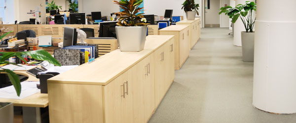 Commercial Carpet Cleaning South San Francisco