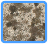 South San Francisco Water Damage Restoration